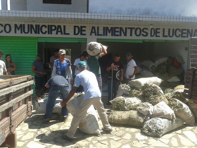 Banco Municipal de Alimentos em Lucena.