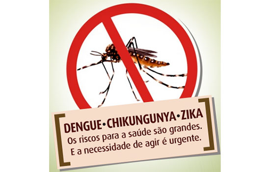 Combarter o Aedes aegypti é um dever de todos